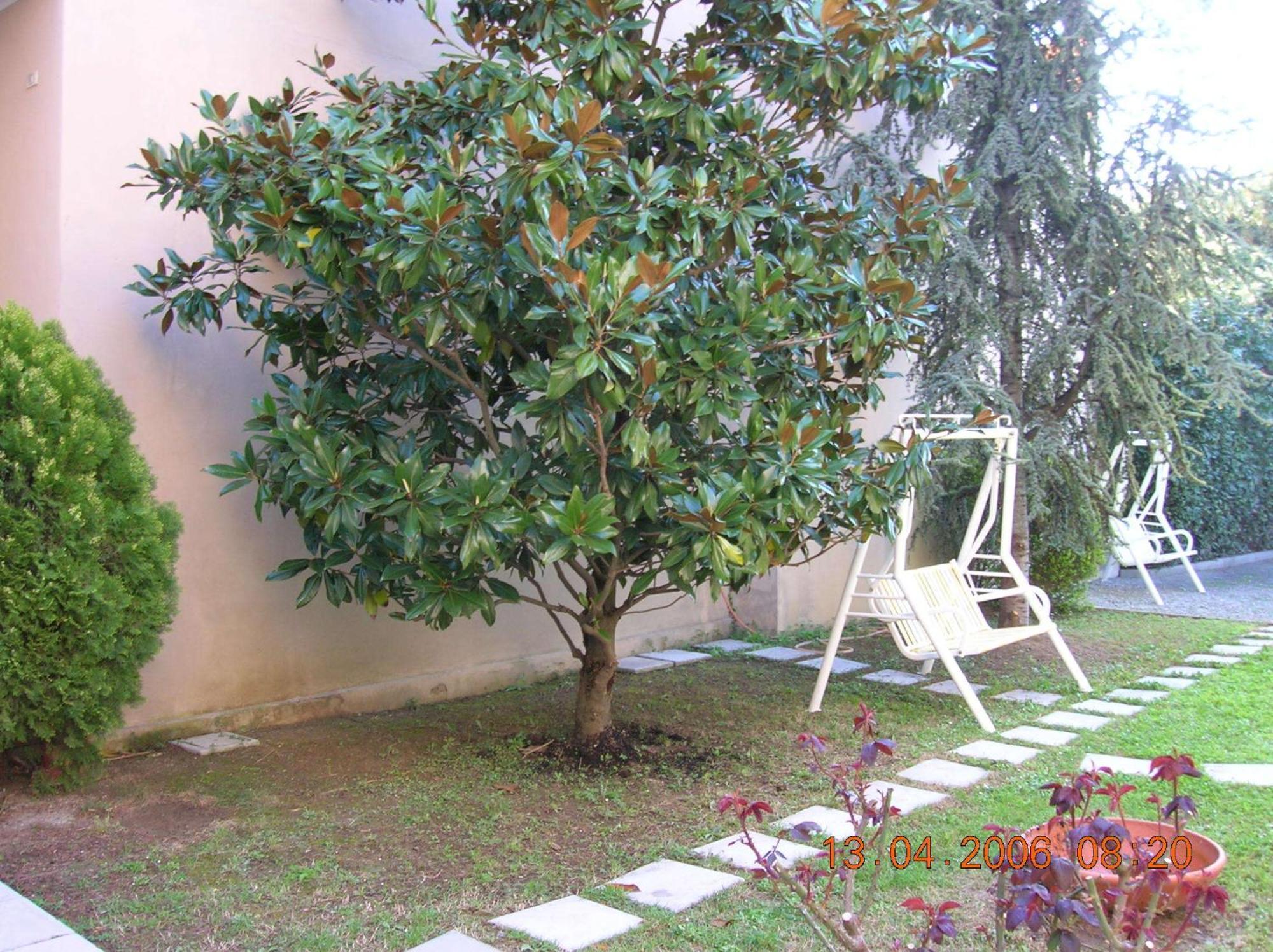 Hotel Trieste 3*